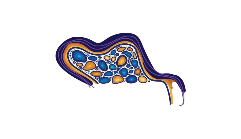 Motif from artwork, with blue and orange stone like circles and a m-shaped path containing the stones