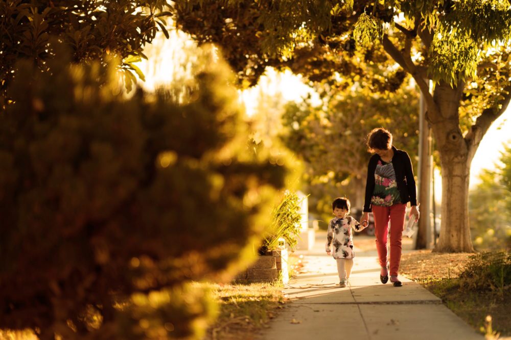 An adult and a young child, protected under the Blue Card system, walk hand-in-hand down a sunlit pavement lined with trees. The warm, golden light highlights their peaceful moment outdoors.
